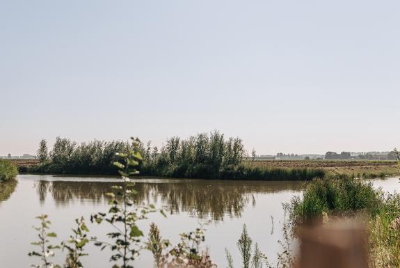 Het park | Roompot Park Veerse Kreek